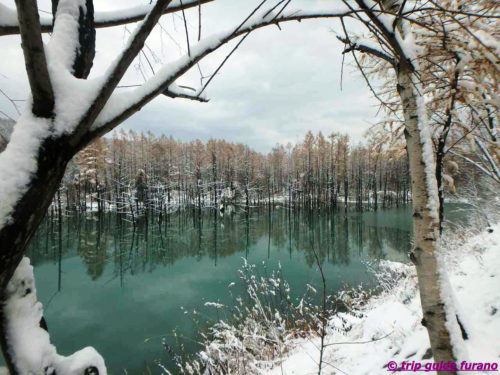 美瑛　青い池　冬