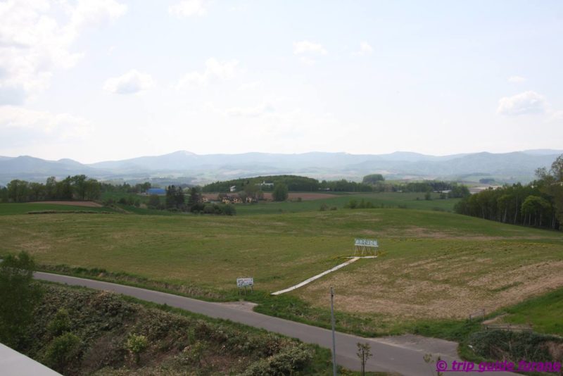 美瑛　富良野　北西の丘　絶景　景色