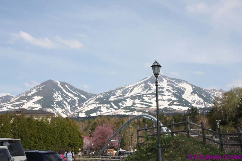 美瑛　富良野　白ひげの滝　5月　観光