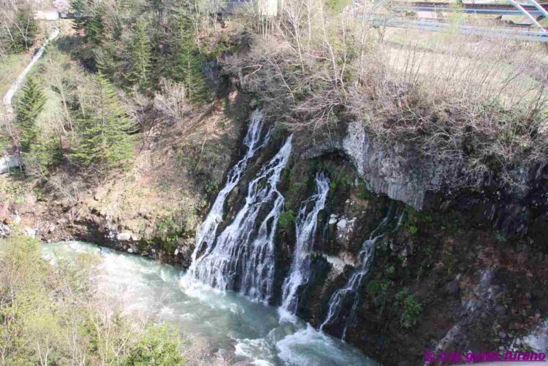 美瑛　富良野　白ひげの滝　5月　観光