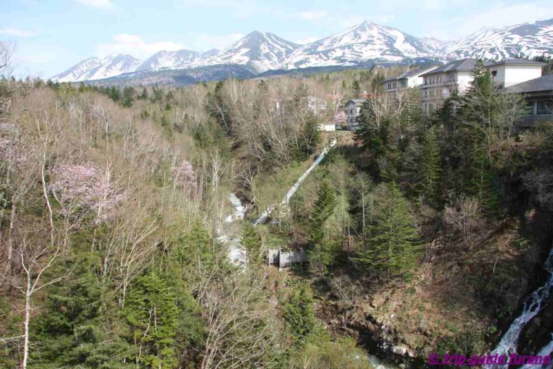 美瑛　富良野　白ひげの滝　5月　観光