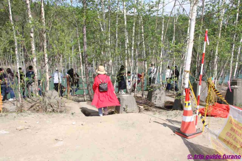 美瑛　富良野　青い池　5月　観光