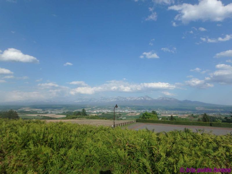 富良野　美瑛　千望峠駐車場　5月