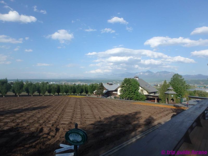 ファーム富田　富良野　花畑　5月　展望