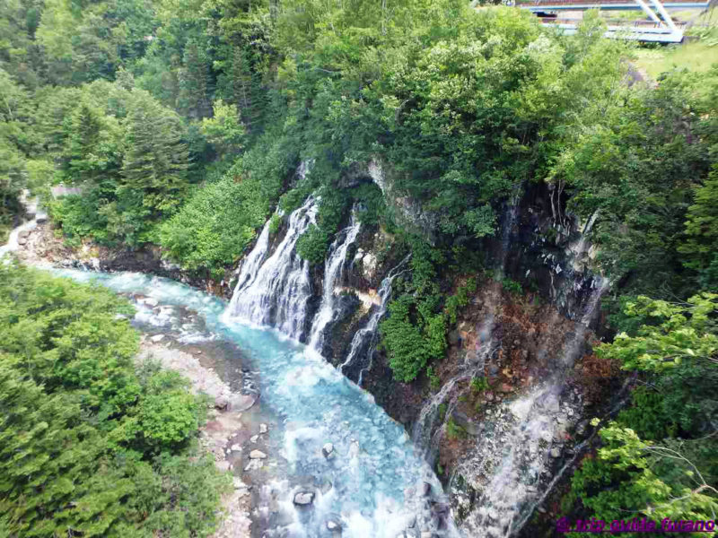 美瑛　ふらの　白ひげの滝　6月　きれい