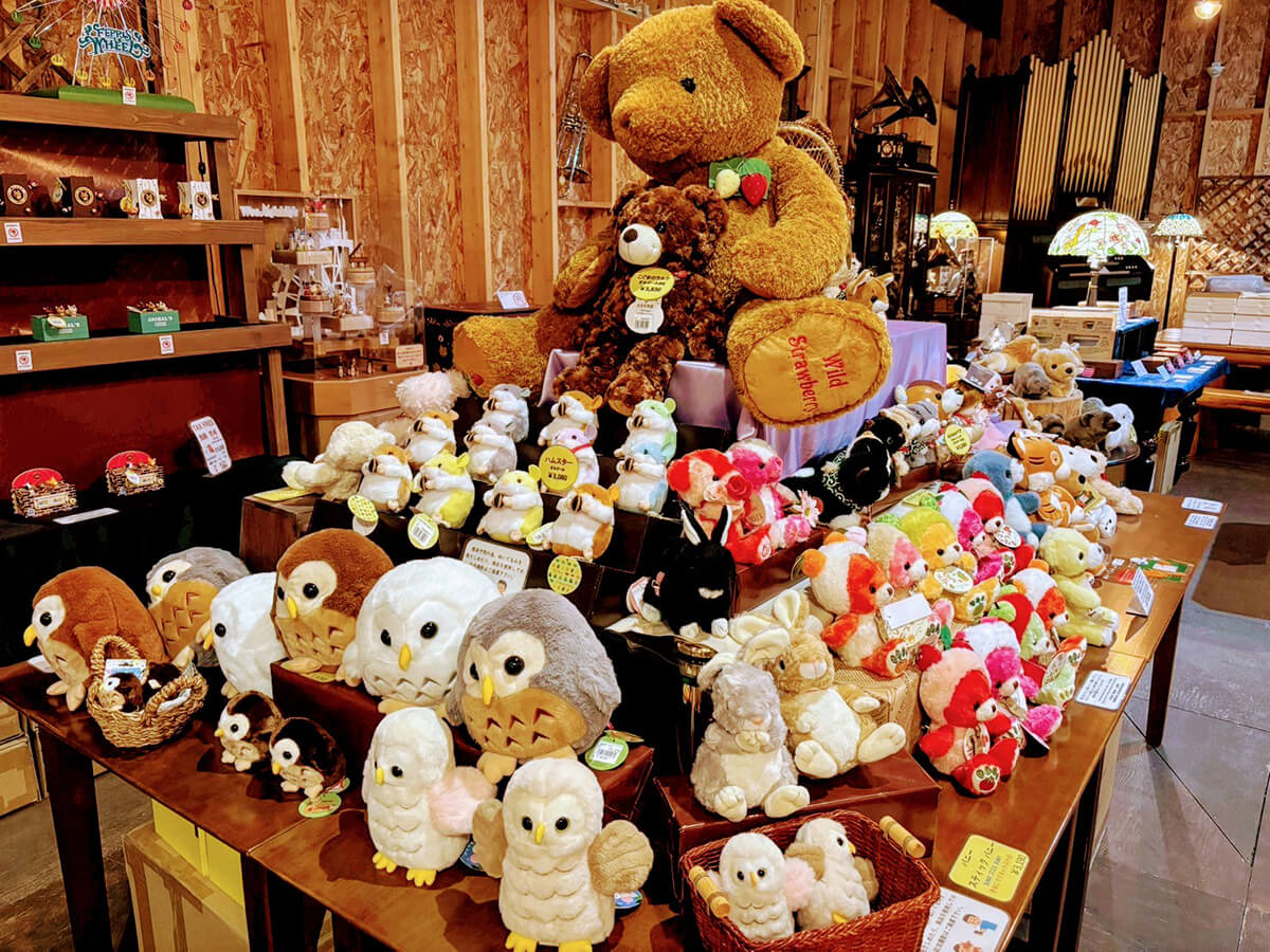 富良野オルゴール堂_クマ、ふくろうのぬいぐるみたち
